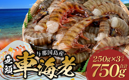 【予約受付 1月より順次発送】こだわりの車海老　無頭車海老（冷凍）250ｇ×3パック F010