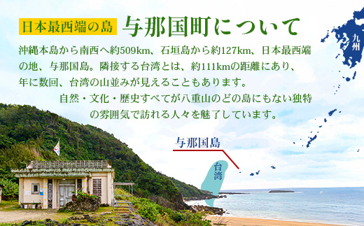 【返礼品なし】日本最西端の地 与那国島の未来の為の応援寄附(50000円) 国境の島 与那国町 返礼品無し Y006