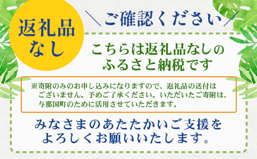 【返礼品なし】日本最西端の地 与那国島の未来の為の応援寄附(50000円) 国境の島 与那国町 返礼品無し Y006