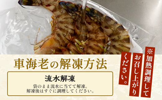 こだわりの車海老　有頭車海老（冷凍）250ｇ×3パック F009｜沖縄県 与那国町 与那国 車海老 車エビ 海老 えび エビ 産地直送