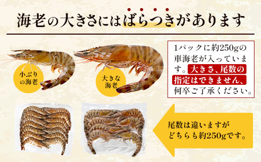 こだわりの車海老　有頭車海老（冷凍）250ｇ×3パック F009｜沖縄県 与那国町 与那国 車海老 車エビ 海老 えび エビ 産地直送