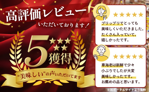 ãã ããã®è»æµ·èãç¡é è»æµ·èïŒå·åïŒ250ïœÃ3ãã㯠F010ïœæ²çžç äžé£åœçº äžé£åœ è»æµ·è è»ãšã æµ·è ãã³ ãšã ç£å°çŽé