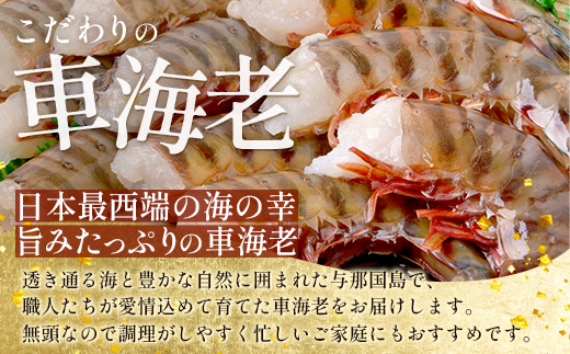 ãã ããã®è»æµ·èãç¡é è»æµ·èïŒå·åïŒ250ïœÃ3ãã㯠F010ïœæ²çžç äžé£åœçº äžé£åœ è»æµ·è è»ãšã æµ·è ãã³ ãšã ç£å°çŽé