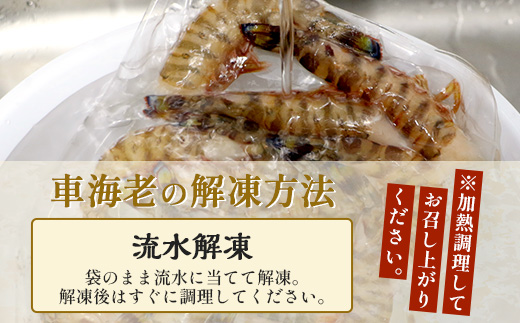 ãã ããã®è»æµ·èãç¡é è»æµ·èïŒå·åïŒ250ïœÃ3ãã㯠F010ïœæ²çžç äžé£åœçº äžé£åœ è»æµ·è è»ãšã æµ·è ãã³ ãšã ç£å°çŽé