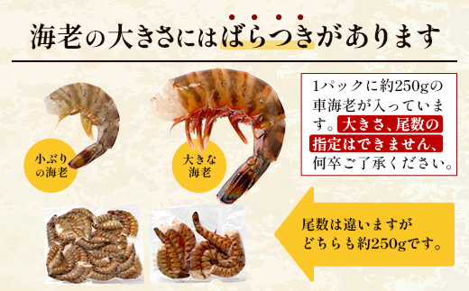 ãã ããã®è»æµ·èãç¡é è»æµ·èïŒå·åïŒ250ïœÃ3ãã㯠F010ïœæ²çžç äžé£åœçº äžé£åœ è»æµ·è è»ãšã æµ·è ãã³ ãšã ç£å°çŽé