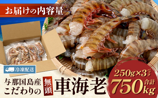 ãã ããã®è»æµ·èãç¡é è»æµ·èïŒå·åïŒ250ïœÃ3ãã㯠F010ïœæ²çžç äžé£åœçº äžé£åœ è»æµ·è è»ãšã æµ·è ãã³ ãšã ç£å°çŽé