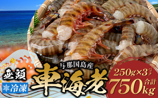 ãã ããã®è»æµ·èãç¡é è»æµ·èïŒå·åïŒ250ïœÃ3ãã㯠F010ïœæ²çžç äžé£åœçº äžé£åœ è»æµ·è è»ãšã æµ·è ãã³ ãšã ç£å°çŽé