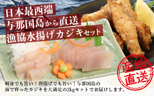 【G002】 カジキの刺身とカジキの骨付き肉のセット