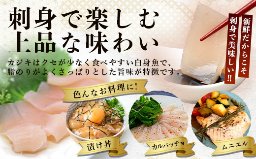 【G002】 カジキの刺身とカジキの骨付き肉のセット