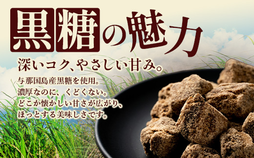 与那国島 塩黒糖（100g）×3袋 A005｜沖縄県 与那国町 塩 海塩 黒糖 スィーツ