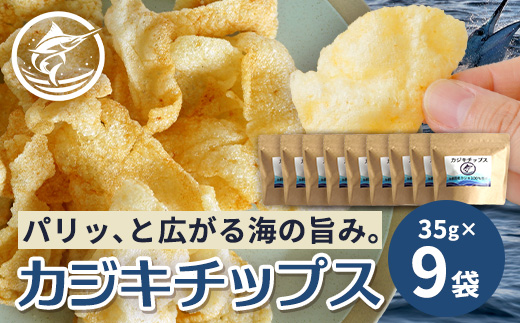 与那国島産 カジキ100%使用 カジキチップス ＜35g×9袋＞ NE-3 │ 沖縄県 与那国町 与那国島 おやつ スナック カジキ 揚げ菓子 セット 贈答 ギフト