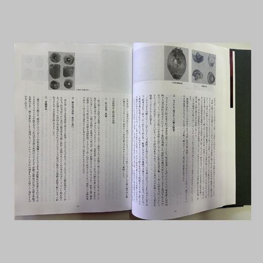 【C005】町史第三巻 ～歴史編～ 与那国島 