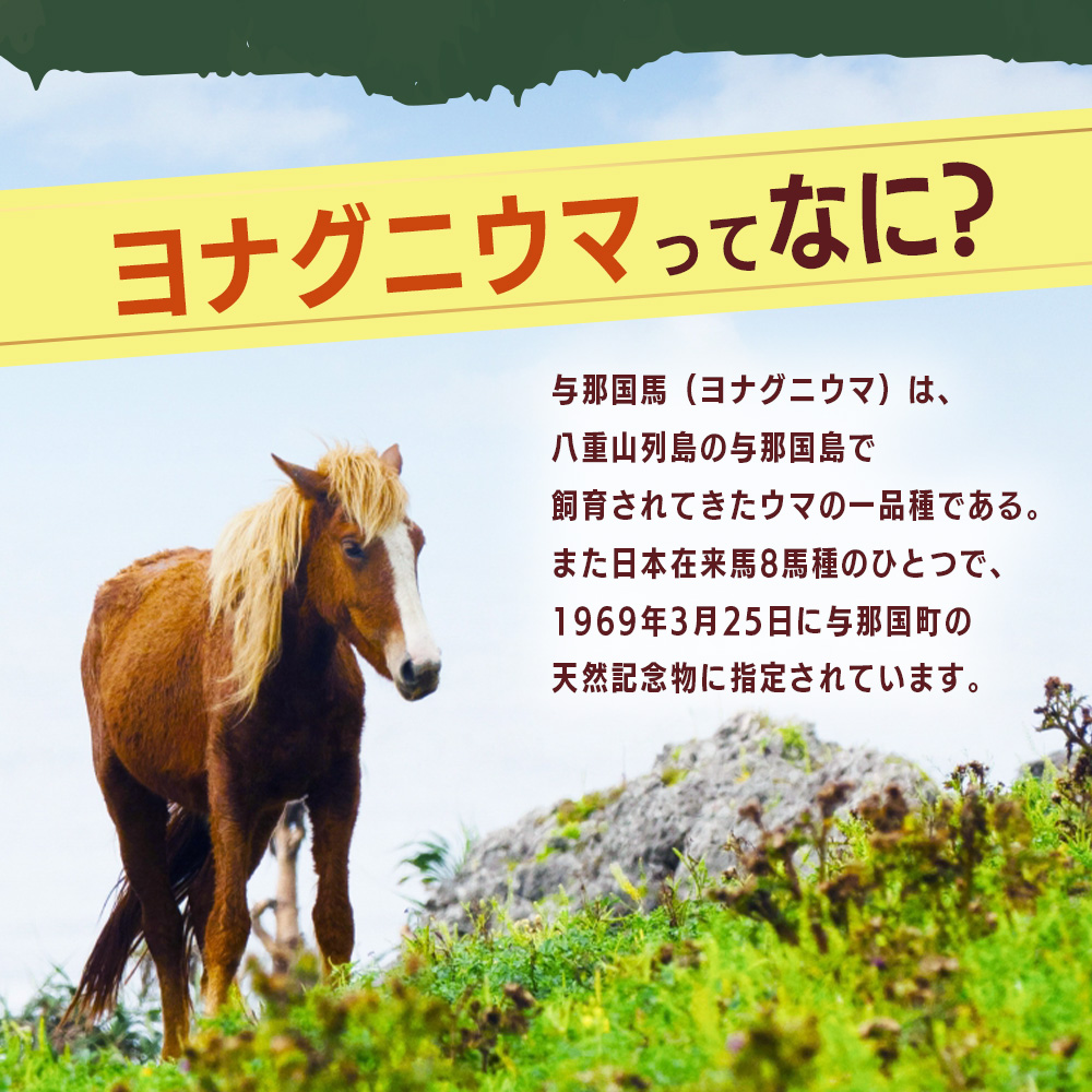 縺ゥ縺ェ繧薙ョ鬚ィ縺ィ諱オ縺ョ萓ソ繧奇ス樔ク朱ぅ蝗ス辟シ縺崎藷蟄舌そ繝繝茨シ井ク朱ぅ蝗ス逕」邏譚蝉スソ逕ィシ J003 ス 謇倶ス懊j 繧ッ繝繧ュ繝シ 繝ゥ繧ケ繧ッ 蝪ゥ 髟キ蜻ス闕 鮟堤ウ 繧「繧カ繝 邏闃 繧ウ繧ウ繧「 豐也ク逵 荳朱ぅ蝗ス逕コ