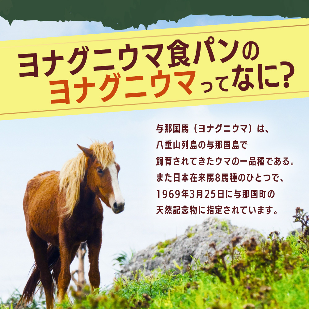 かたちがかわいい！！ヨナグニウマとハンマー君の食パン＆島カヌレBOX  J001 ｜ 手作り パン カヌレ 黒糖 泡盛 花酒 沖縄県 与那国町