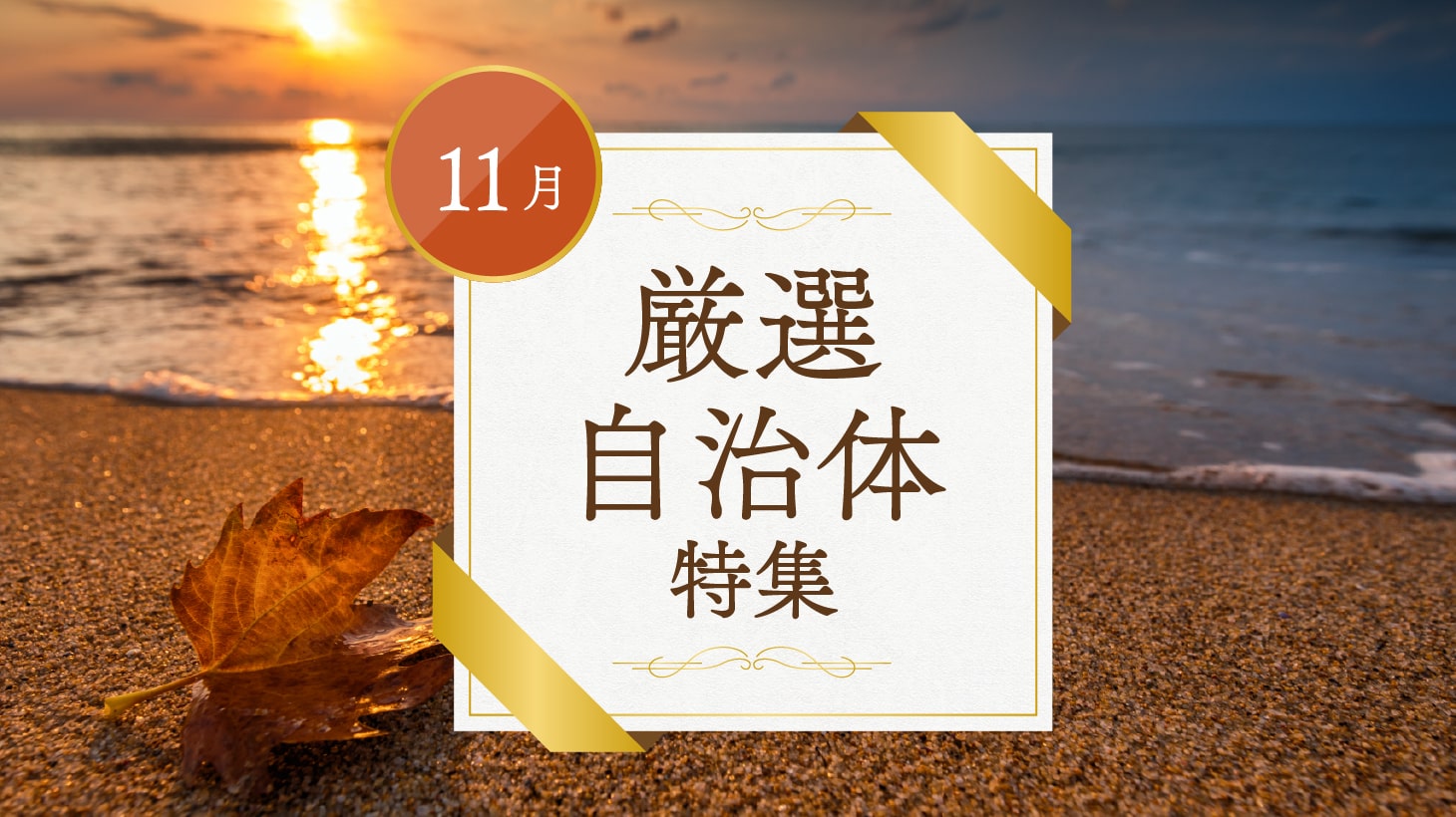 11月厳選自治体特集