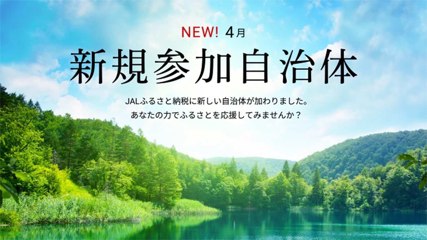 新規参加自治体