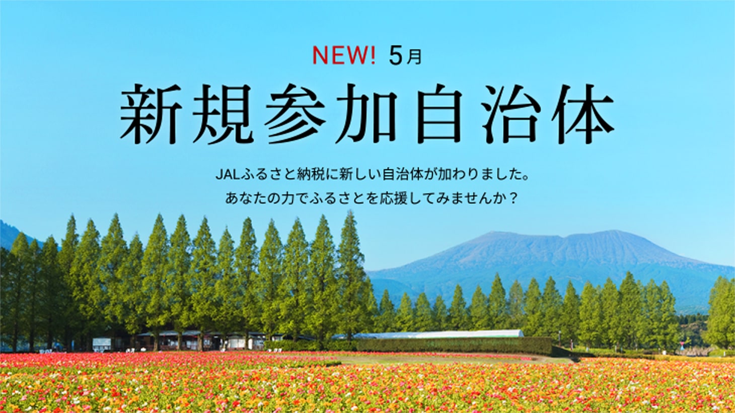 新規参加自治体