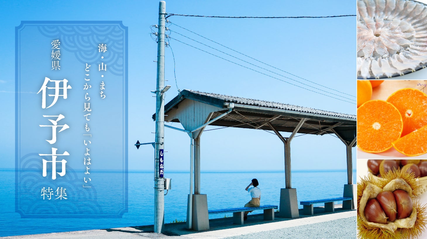 海・山・まち　どこから見ても「いよはよい」　愛媛県伊予市特集