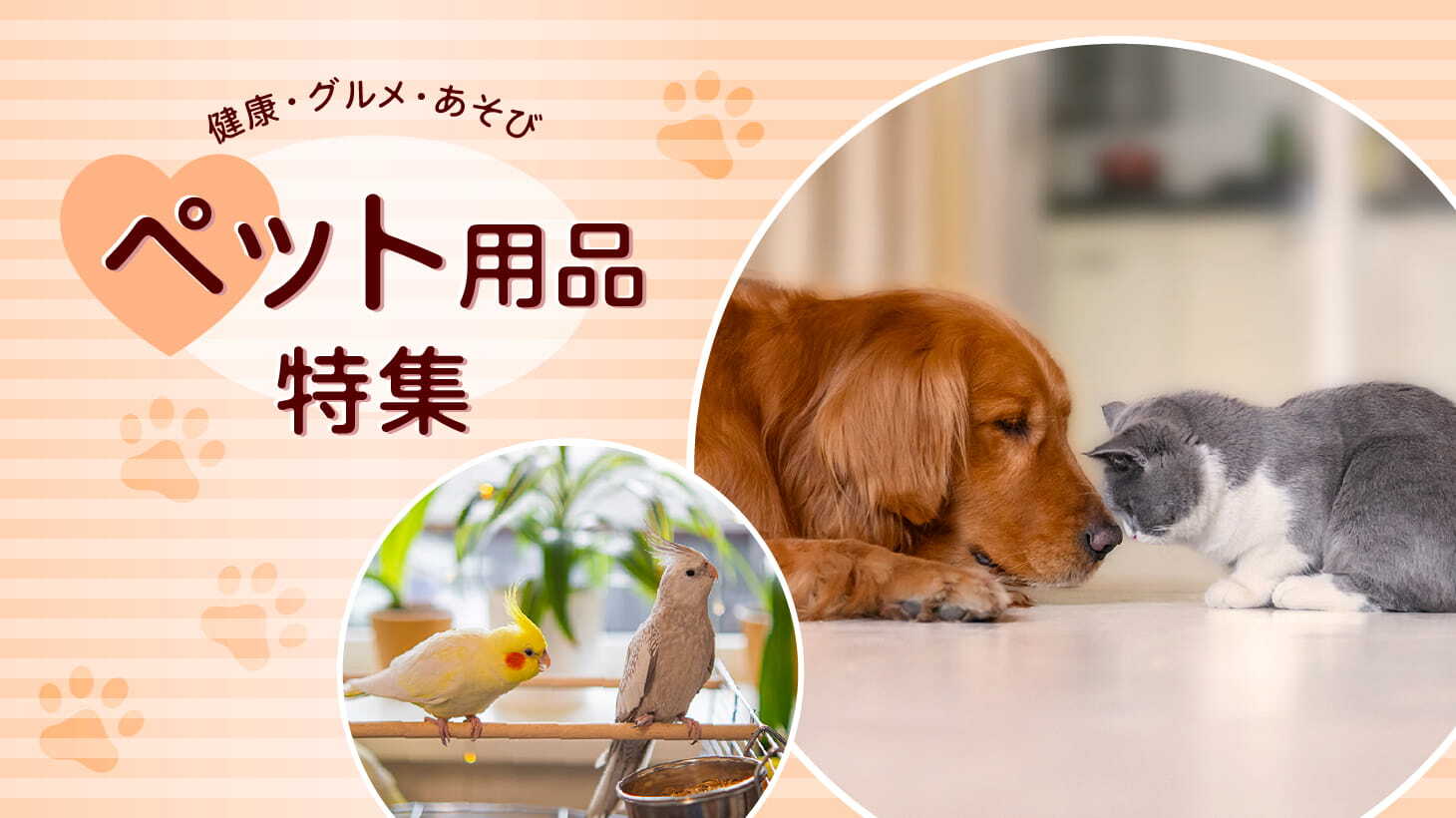 ペット用品特集