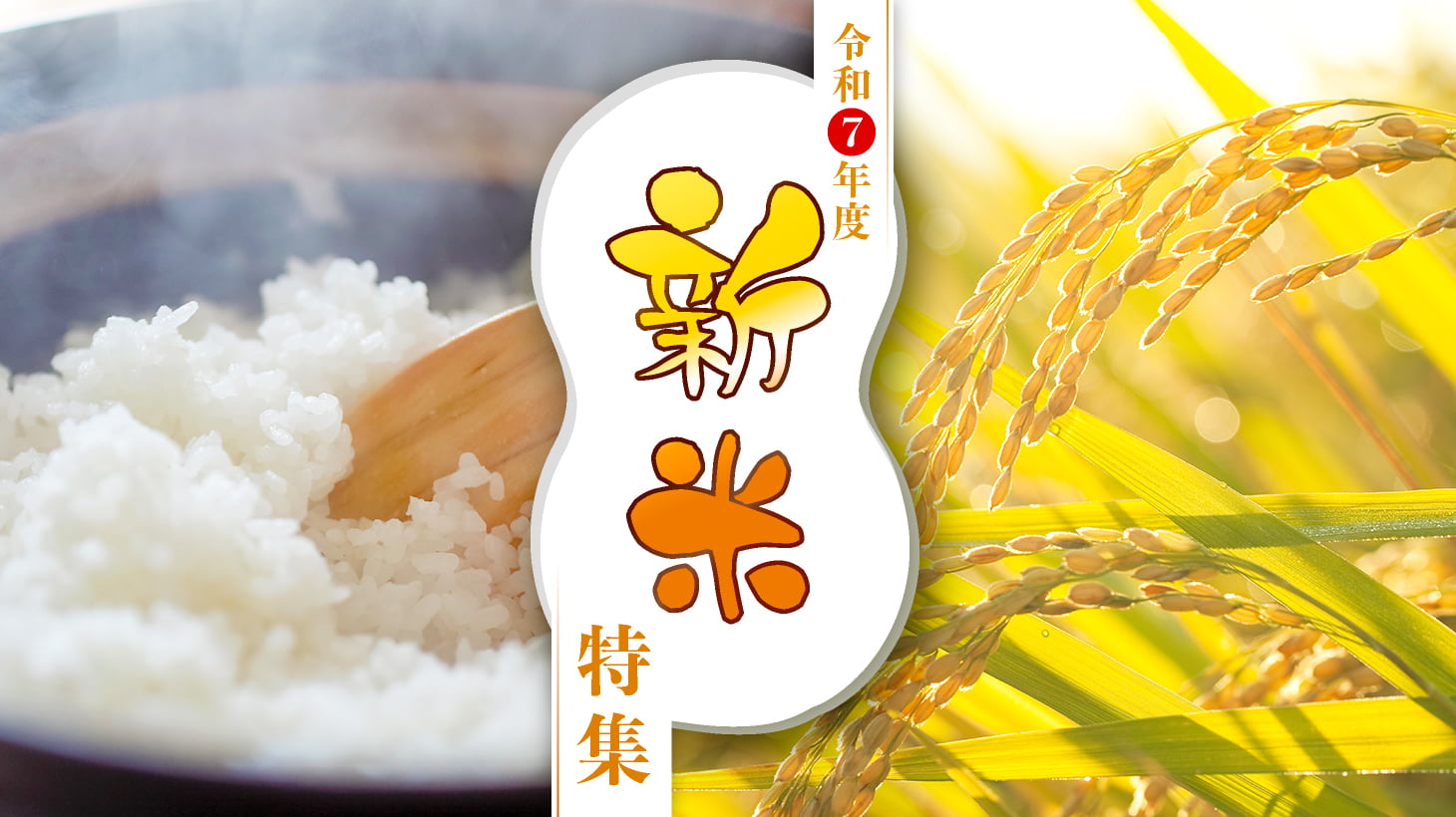 <新米特集>