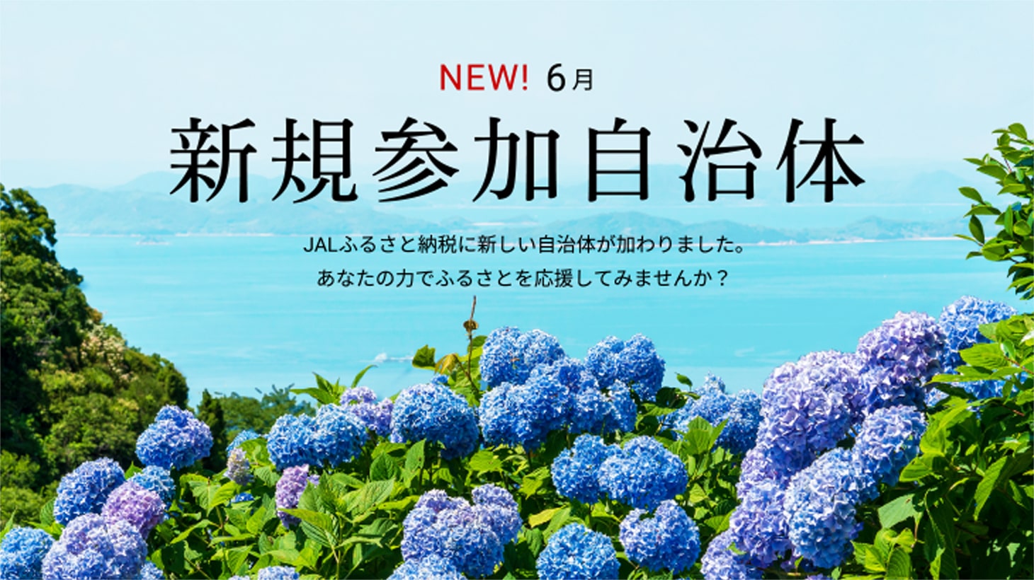 新規参加自治体