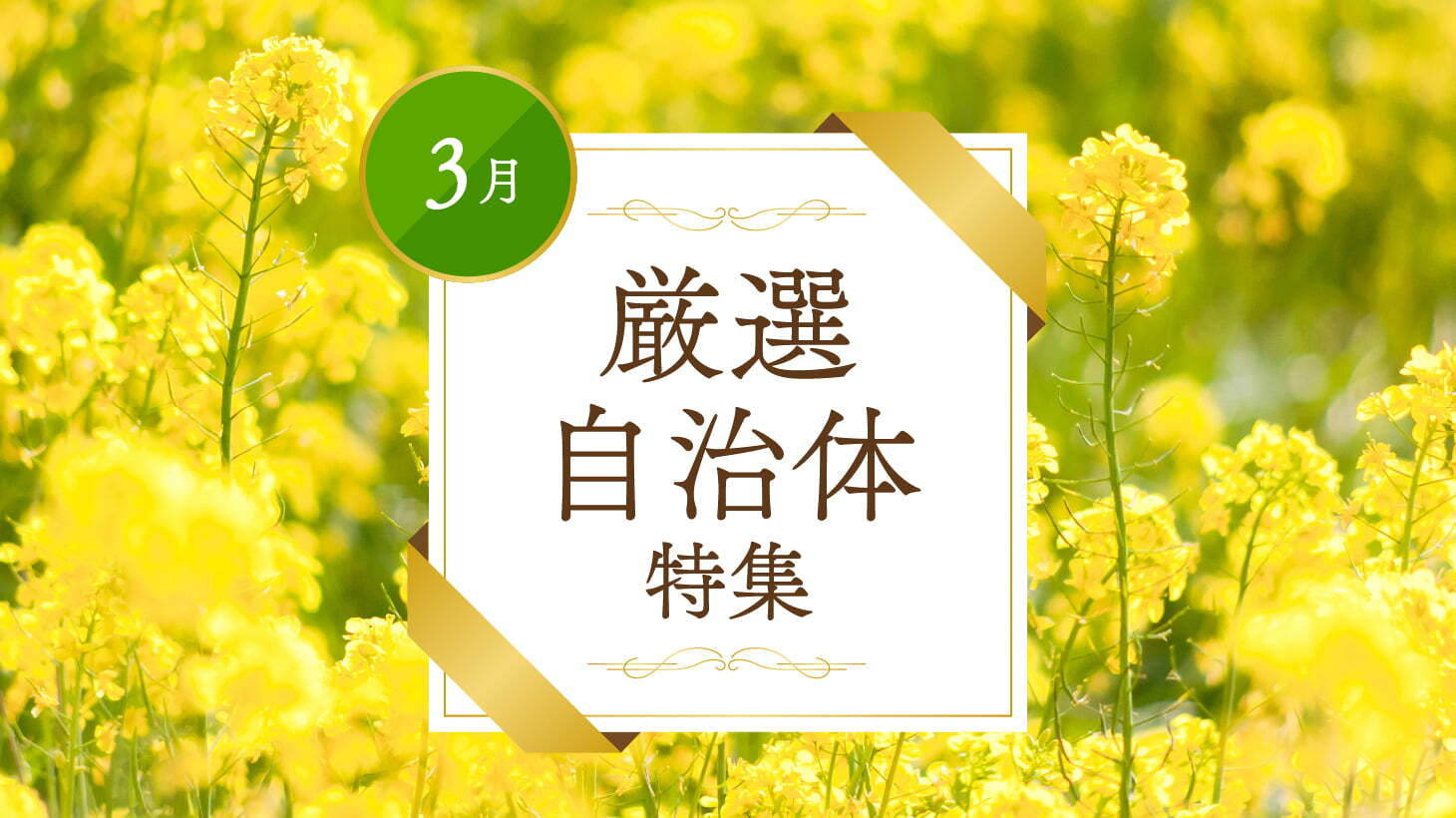 3月厳選自治体特集