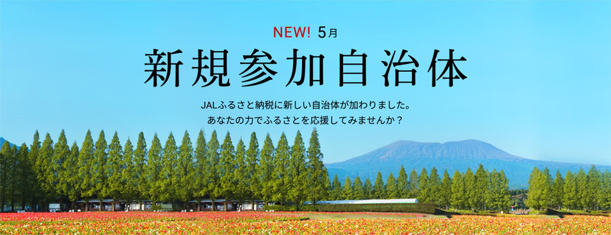 新規参加自治体　JALふるさと納税に新しい自治体が加わりました。あなたの力でふるさとを応援してみませんか？