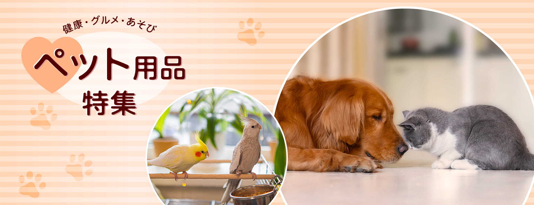ペット用品特集