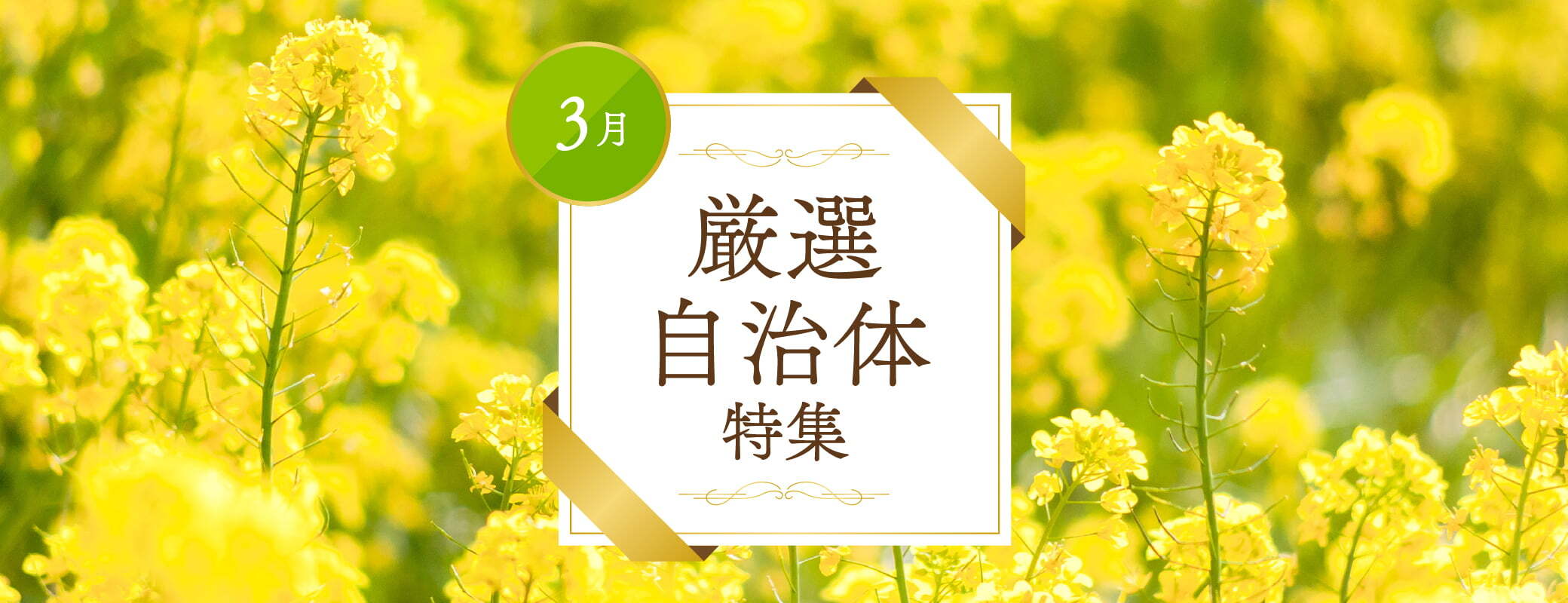 3月厳選自治体特集