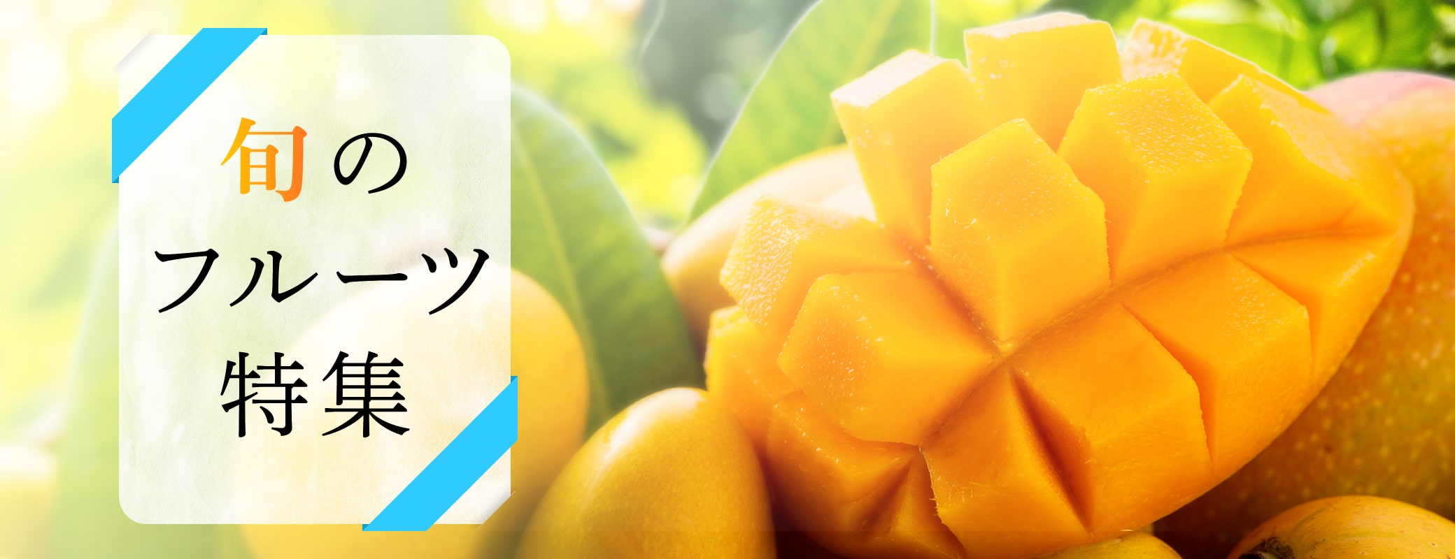 ＜旬のフルーツ特集（マンゴー）＞