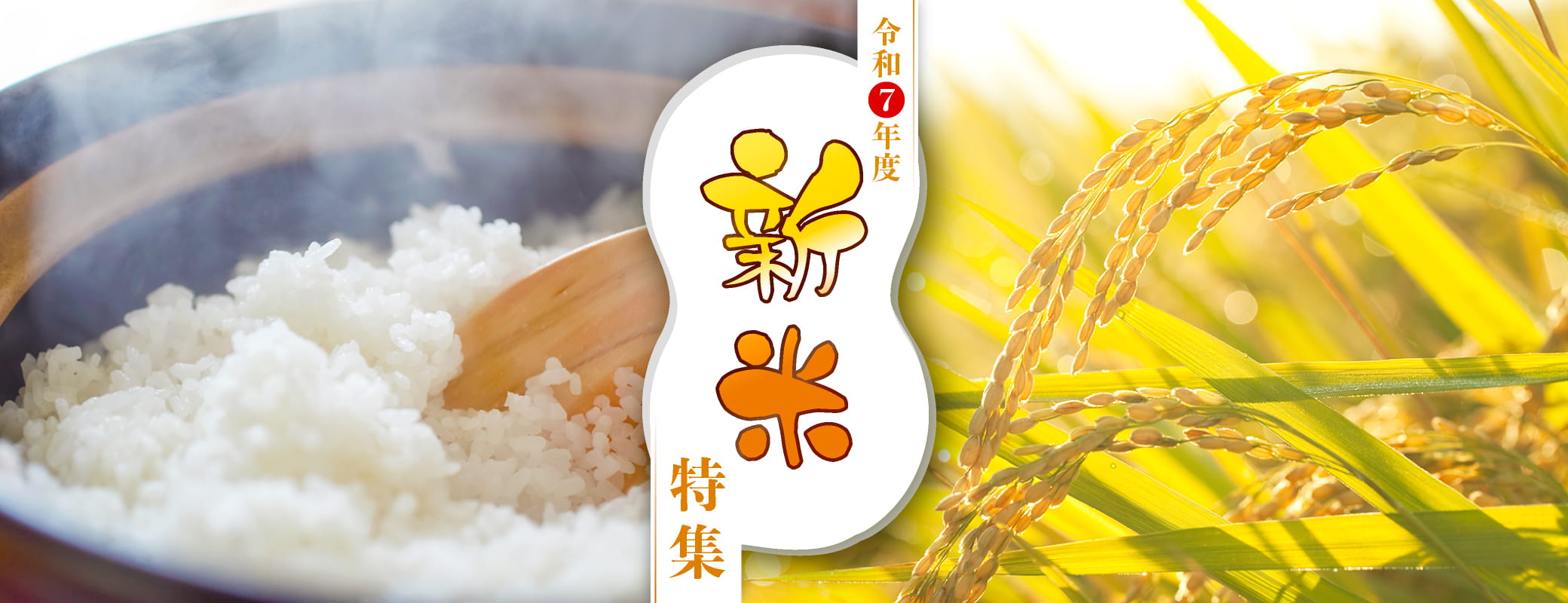 <新米特集>