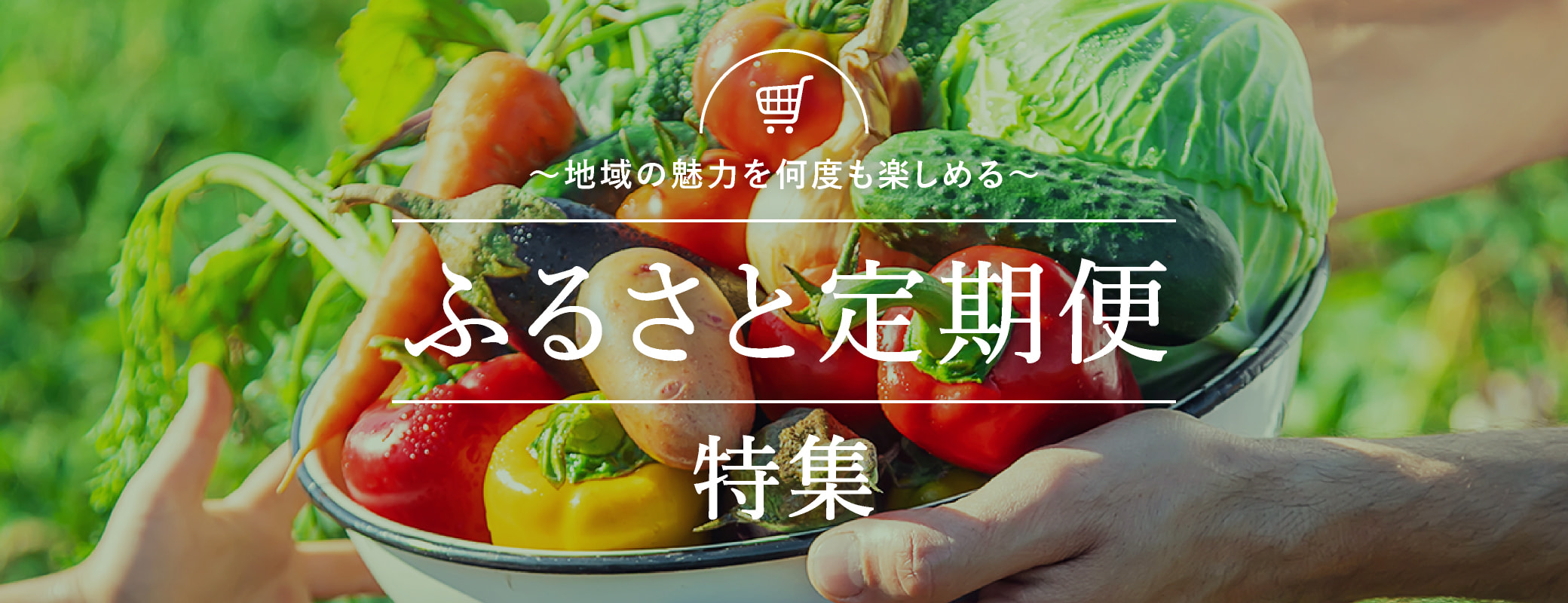 ＜定期便特集＞