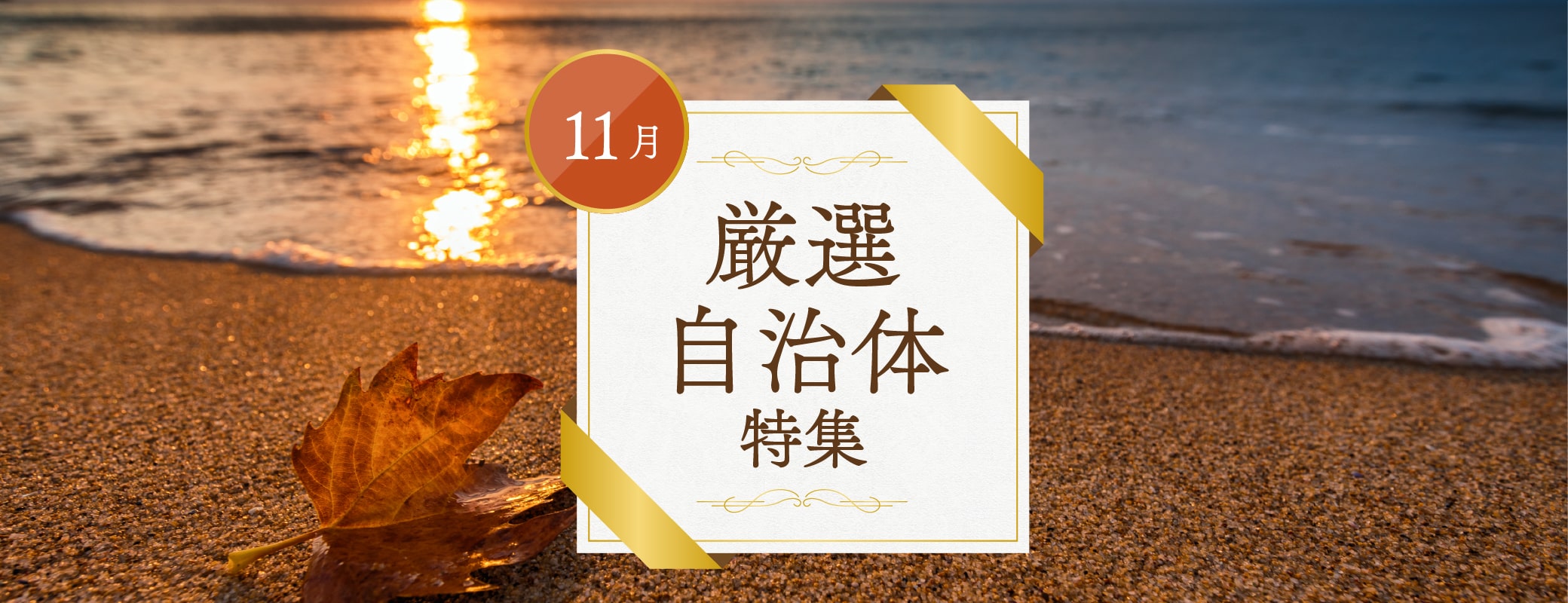11月厳選自治体特集