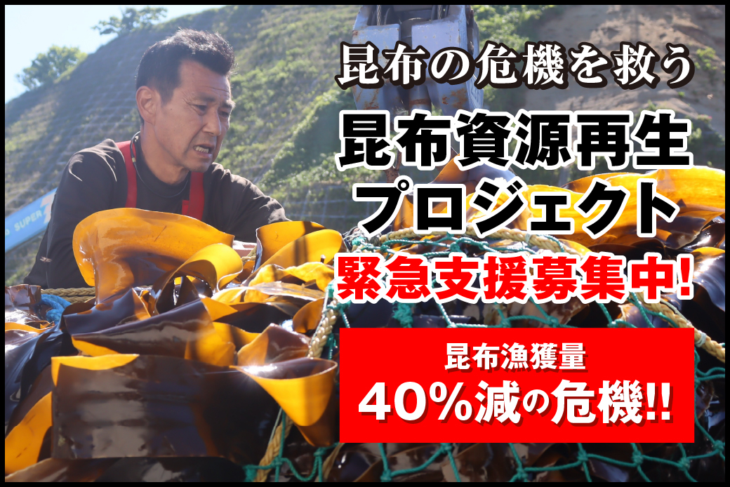 雑海藻から海を守り、日本の食文化である昆布の漁場を再生させる緊急プロジェクト