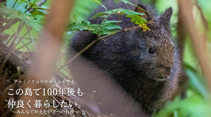 アマミノクロウサギさんを守る。この島で100年後も仲良く暮らしたい。
