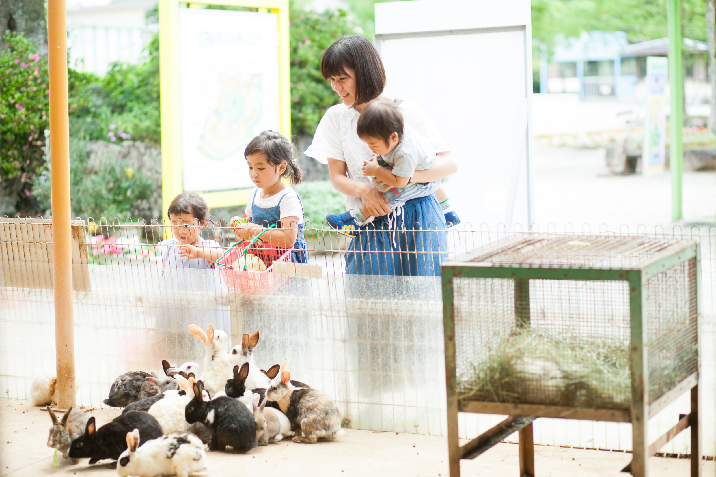 開園30年！子どもたちと、どうぶつたちの笑顔あふれる動物園再生プロジェクト
