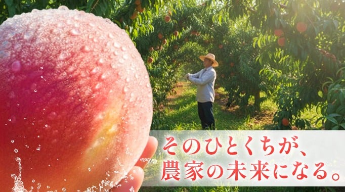 10年後には桃が無くなる..！？　今ならまだ間に合います！消えゆく桃畑に、皆様からのご支援を　～消えゆく桃を後世まで残したい！！～