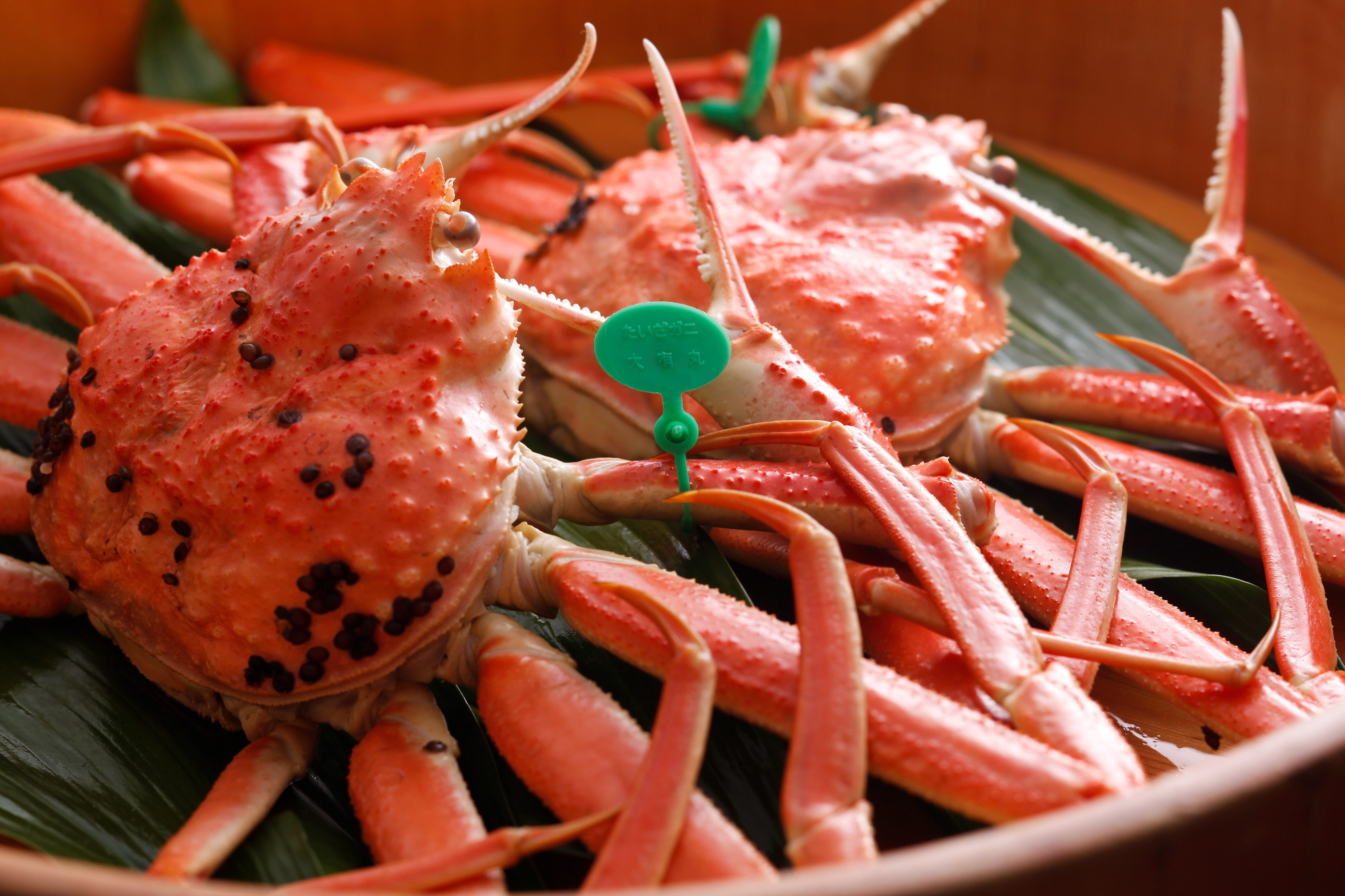 「JALふるさと納税」に 京都府京丹後市 が参加しました