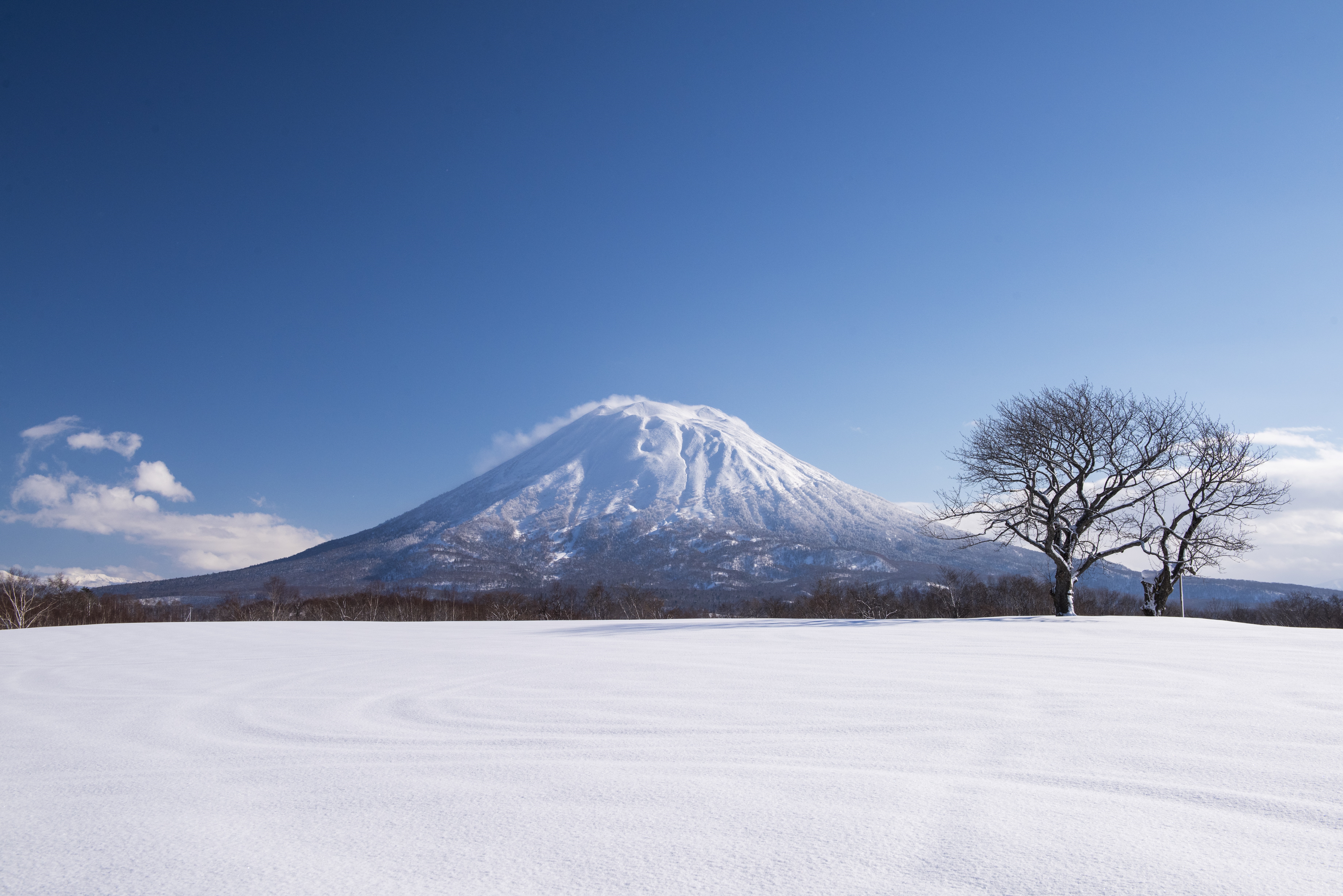 「JALふるさと納税」に 北海道ニセコ町 が参加しました