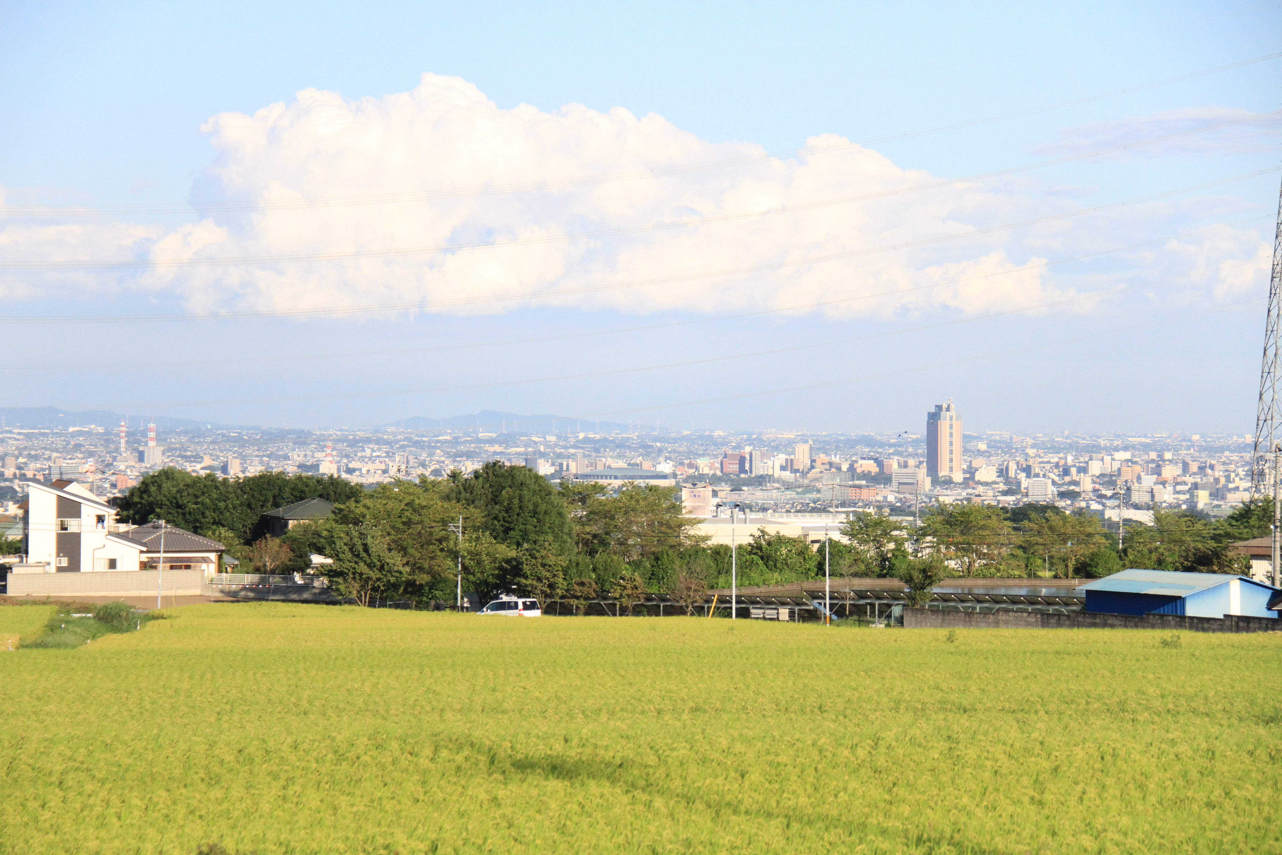 「JALふるさと納税」に 群馬県榛東村 が参加しました