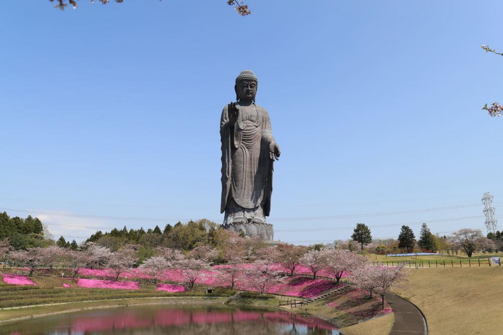 「JALふるさと納税」に 茨城県牛久市 が参加しました。