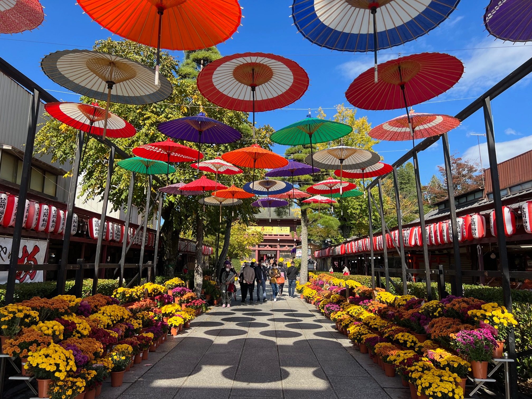 「JALふるさと納税」に 茨城県笠間市 が参加しました