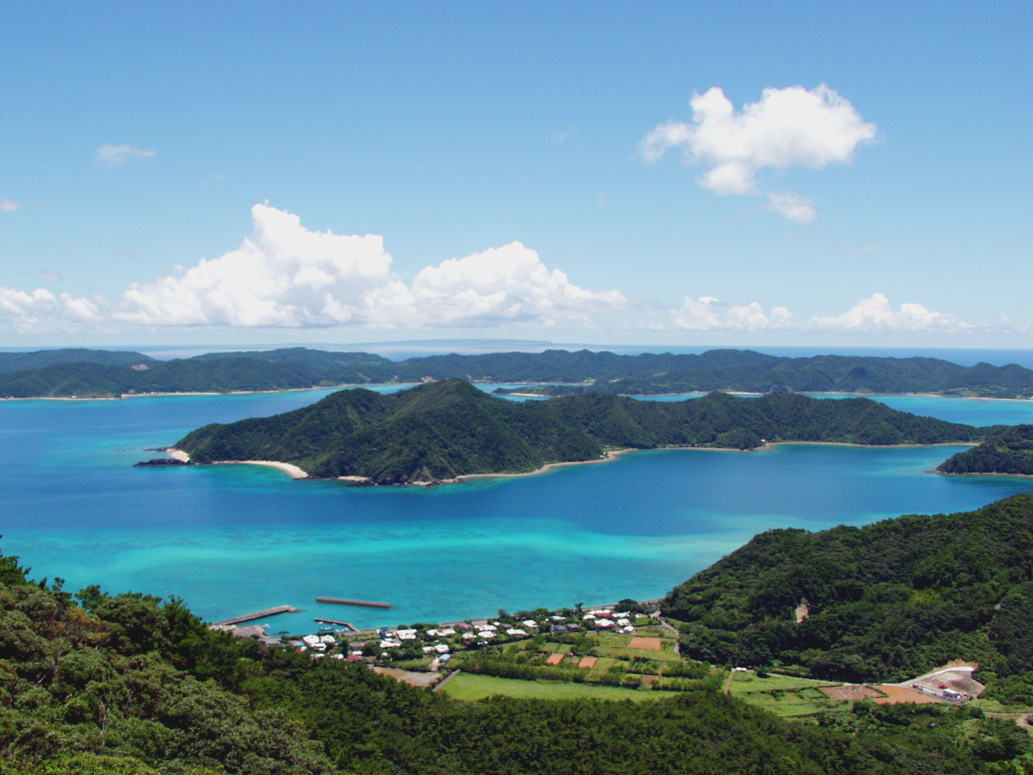 「JALふるさと納税」に 鹿児島県龍郷町 が参加しました。