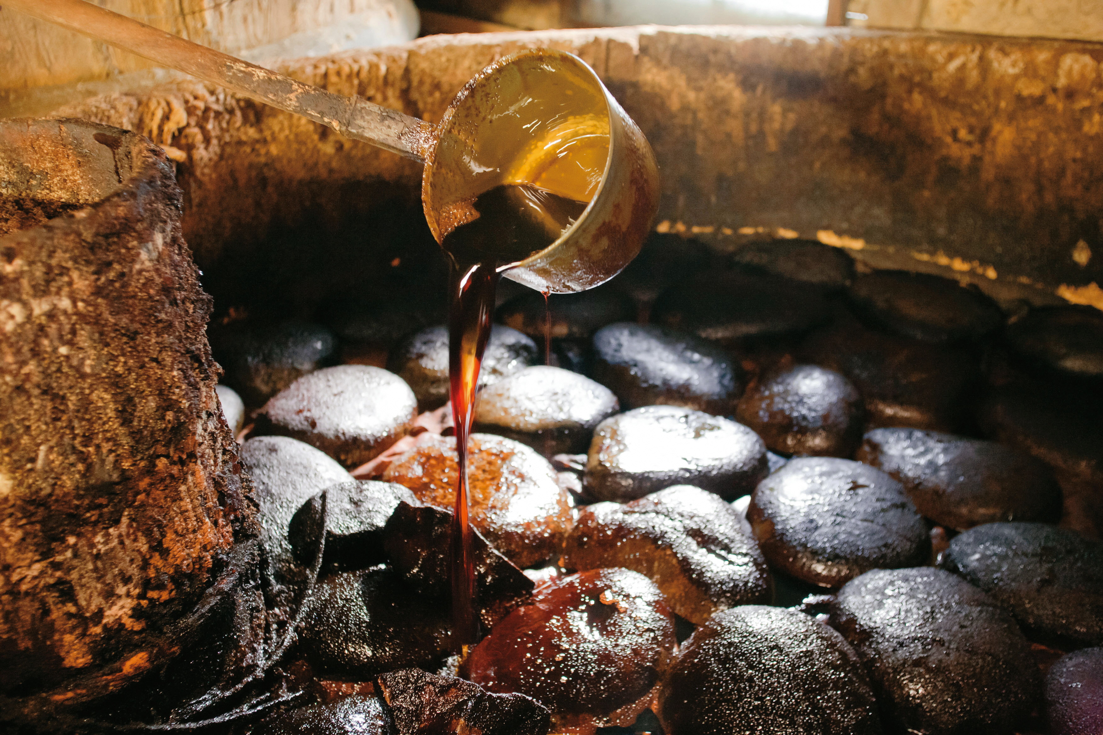 「JALふるさと納税」に 愛知県武豊町 が参加しました