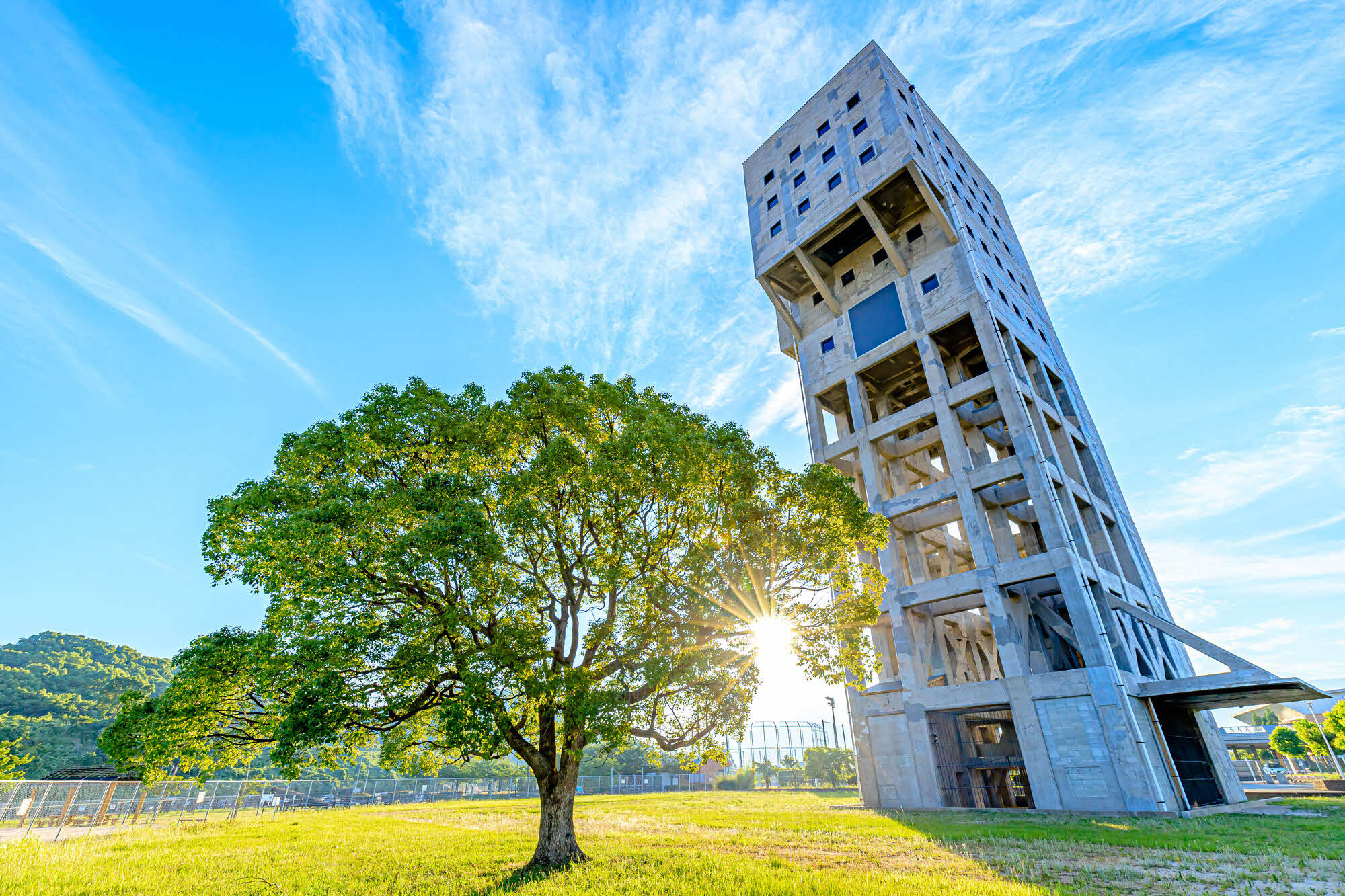 「JALふるさと納税」に 福岡県志免町 が参加しました