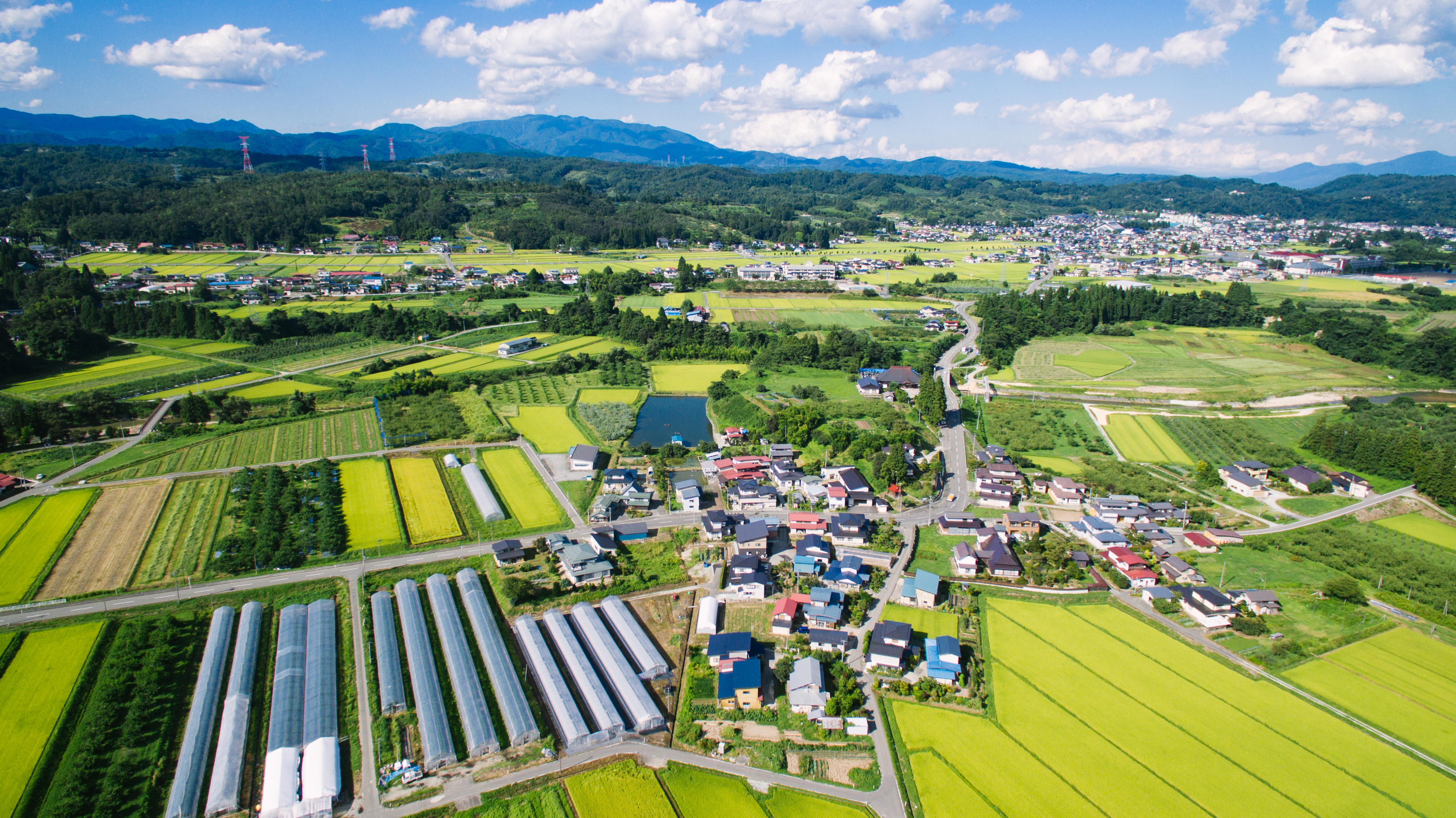 「JALふるさと納税」に 山形県大江町 が参加しました