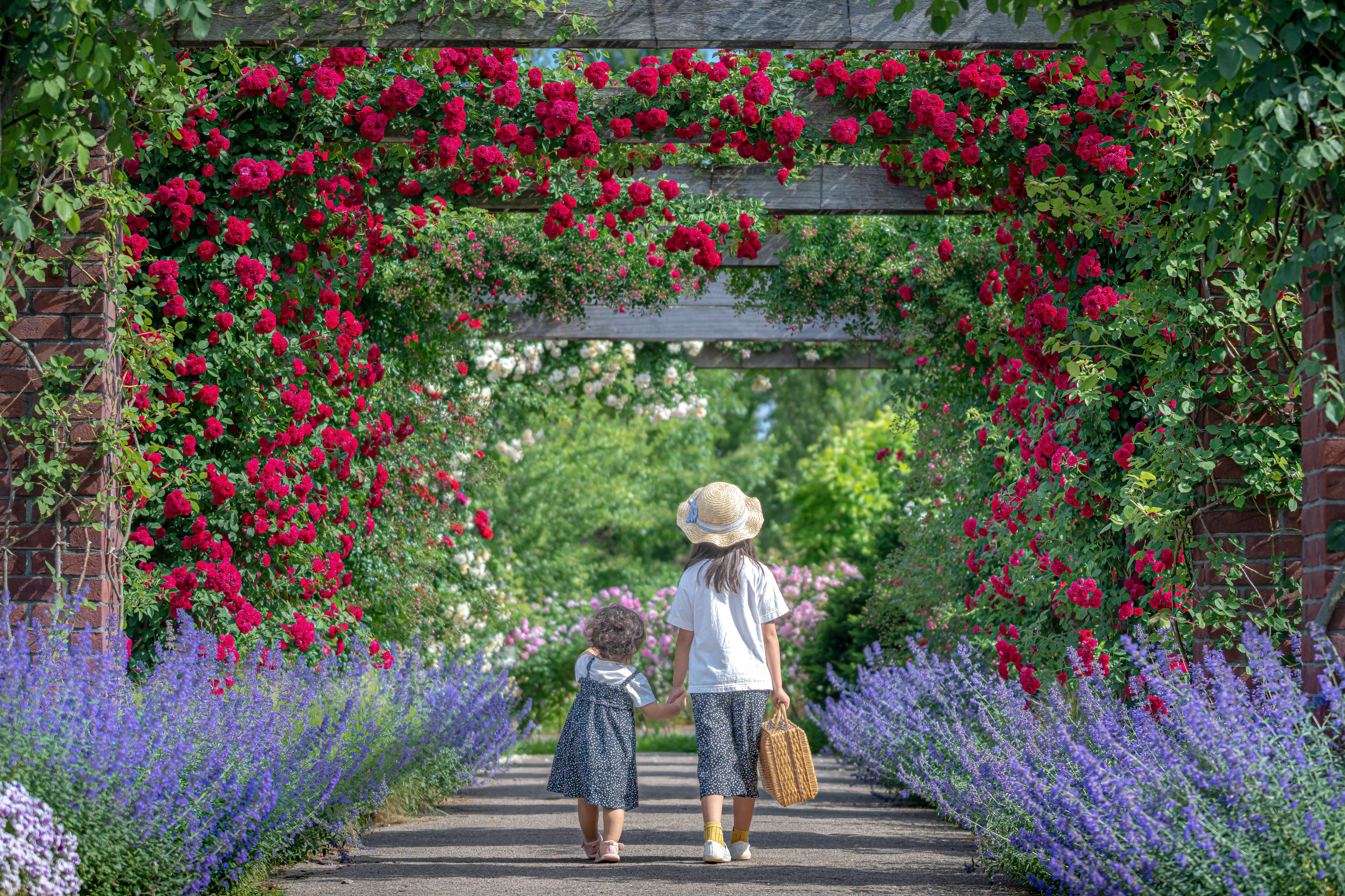 「JALふるさと納税」に 新潟県見附市 が参加しました