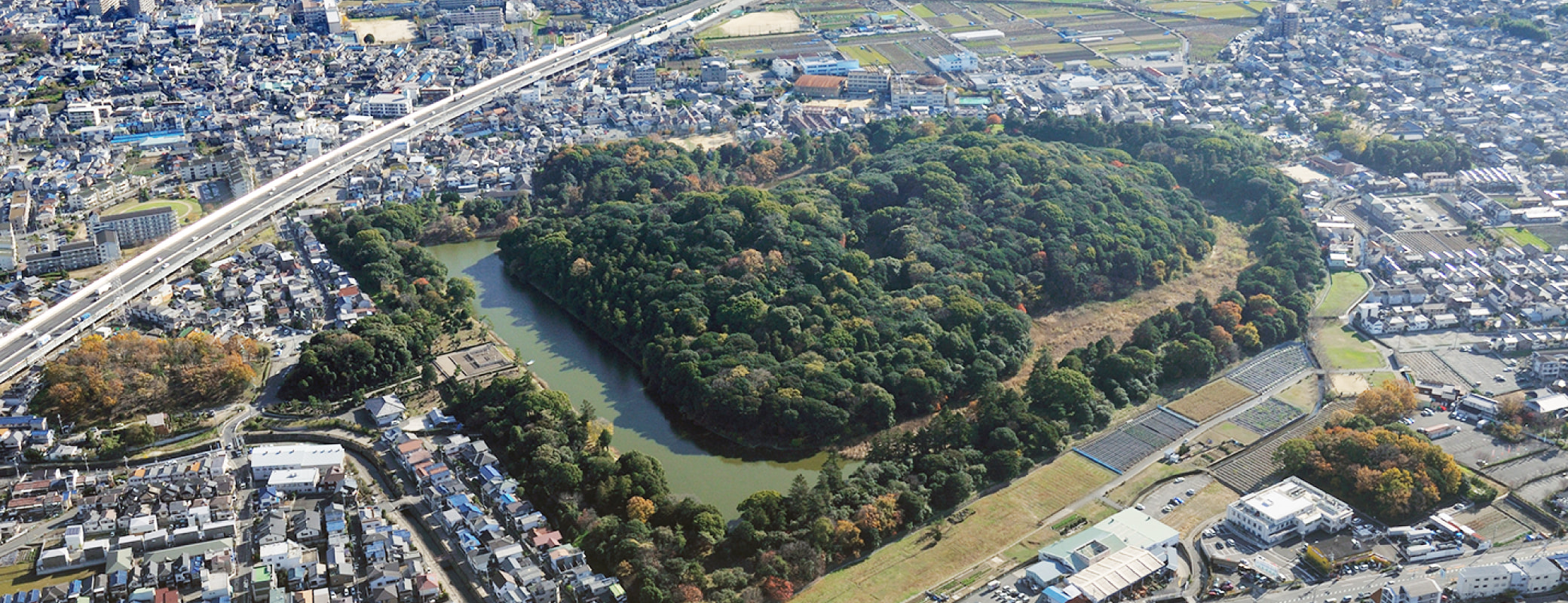 縲繰AL縺オ繧九&縺ィ邏咲ィ弱阪↓ 螟ァ髦ェ蠎懃セス譖ウ驥主ク 縺悟盾蜉縺励∪縺励◆