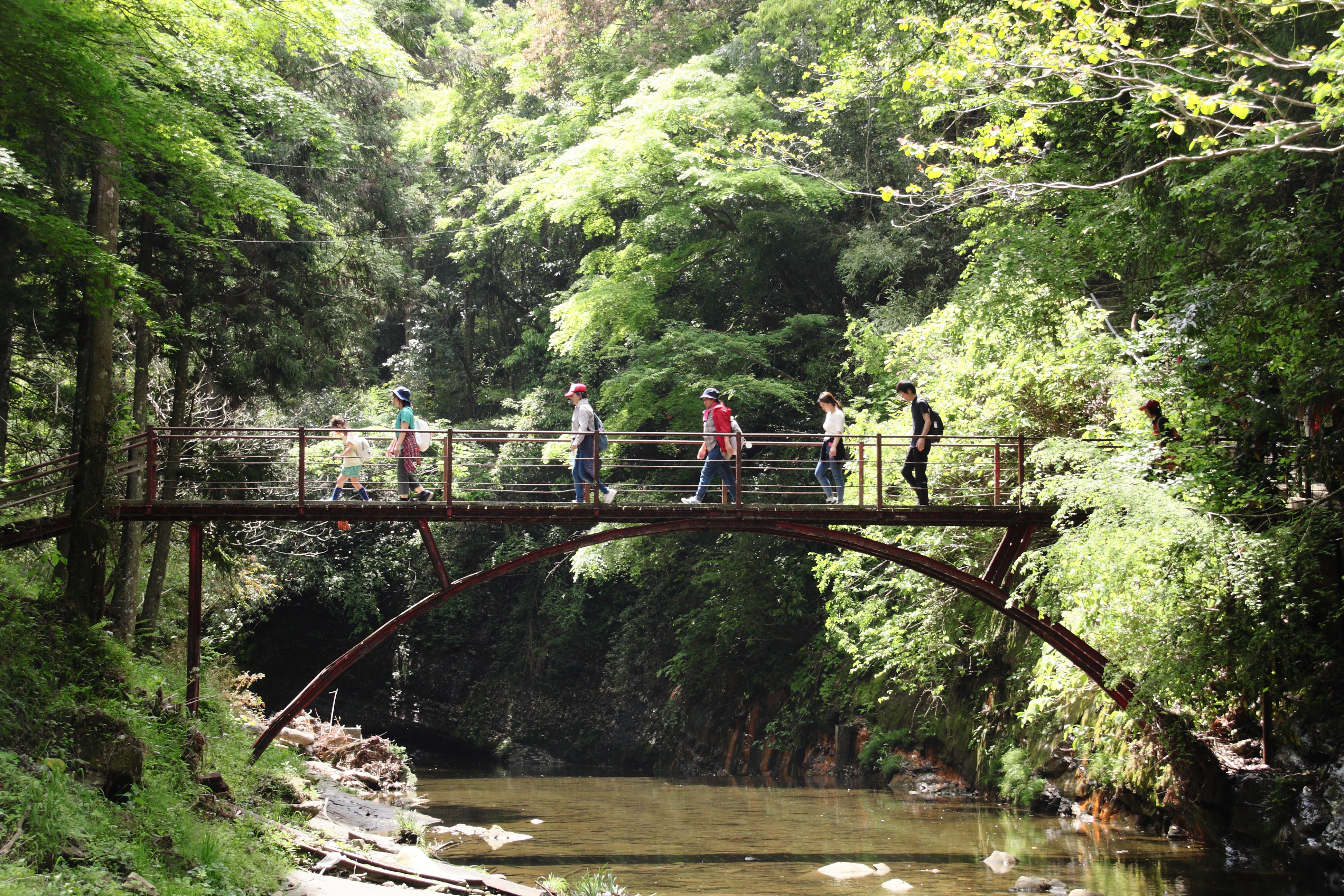 「JALふるさと納税」に 千葉県市原市 が参加しました
