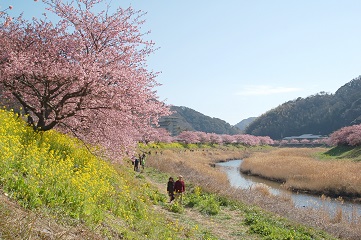 「JALふるさと納税」に 静岡県南伊豆町 が参加しました。